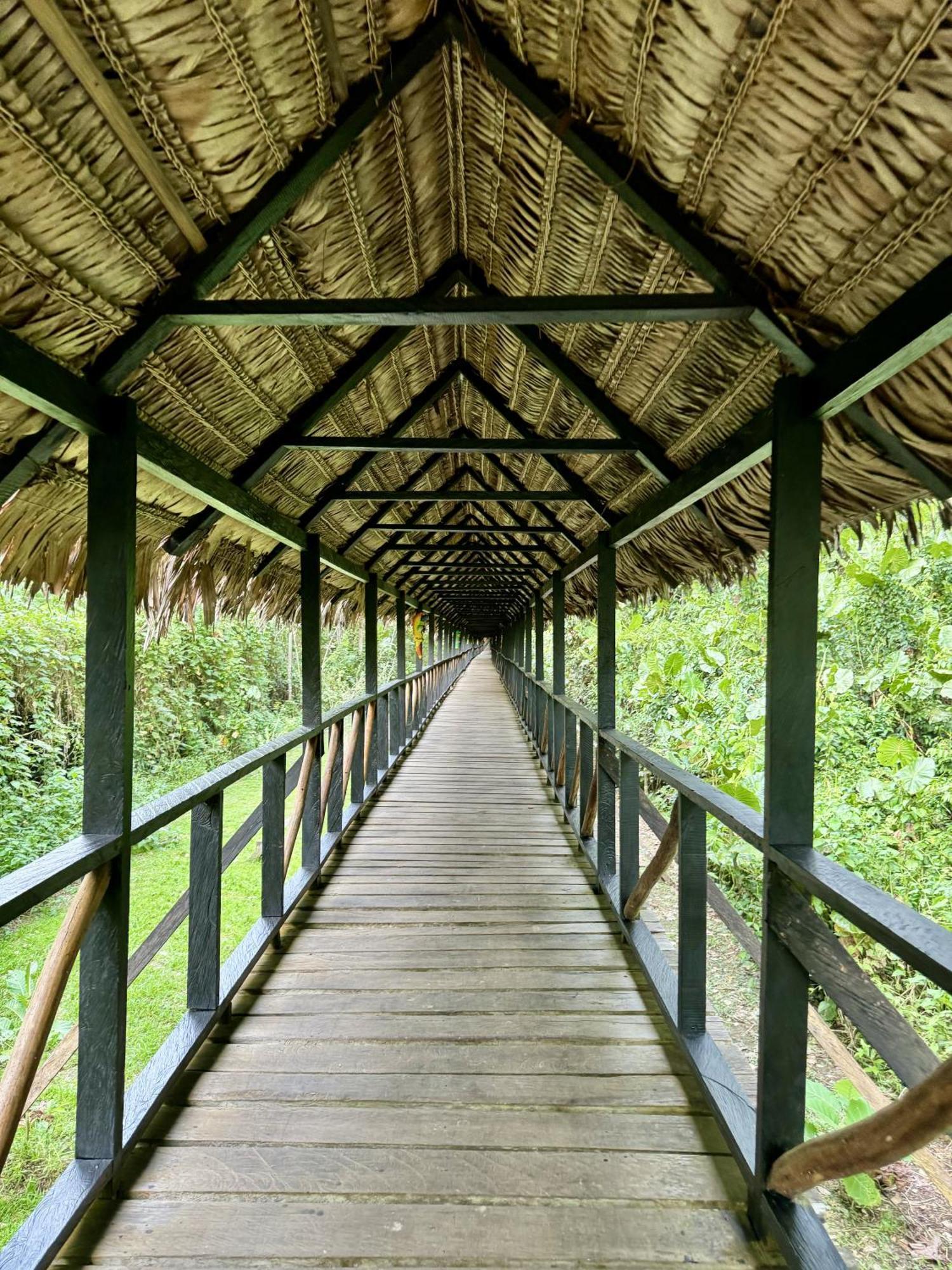 Biohotel Arara River Leticia Dış mekan fotoğraf
